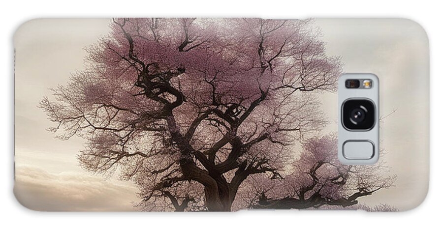 Tree Galaxy Case featuring the digital art The Old Beautiful Tree by James Barnes