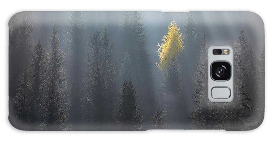 Woodland Galaxy Case featuring the photograph The Soloist by Piotr Skrzypiec
