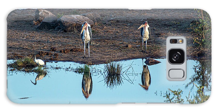 Stork Galaxy Case featuring the photograph The Marabou Stork Brothers by Douglas Wielfaert
