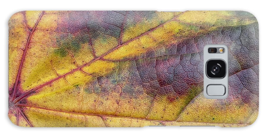 Leaf Galaxy Case featuring the photograph The Veins of an Autum Leaf by Cate Franklyn