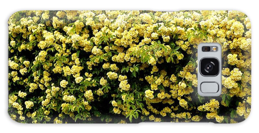 Harison's Yellow Galaxy Case featuring the photograph The Yellow Rose of Texas by Lynn Hunt