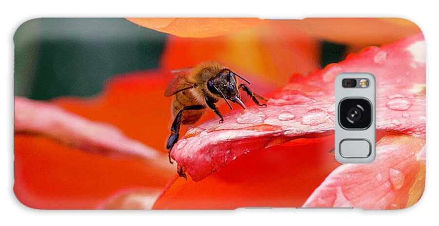 Bee Galaxy Case featuring the photograph Thirsty Bee by Shirley Dutchkowski