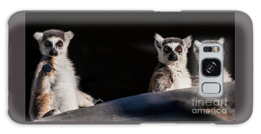 David Levin Photography Galaxy Case featuring the photograph This Spot's for You by David Levin