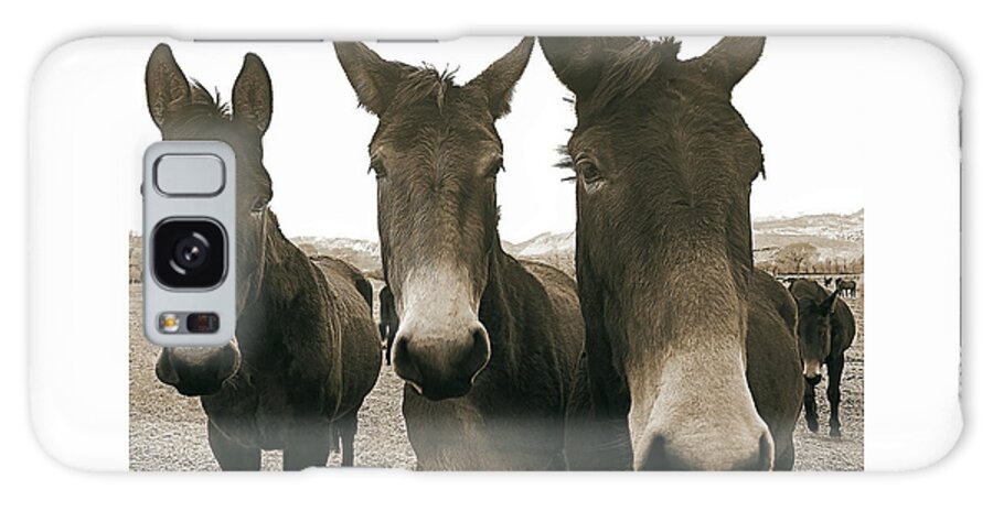 Mules Galaxy Case featuring the photograph Three Amigos, Sepia by Don Schimmel