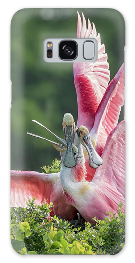 Roseate Spoonbill Galaxy Case featuring the photograph Three is Not A Company by Jurgen Lorenzen