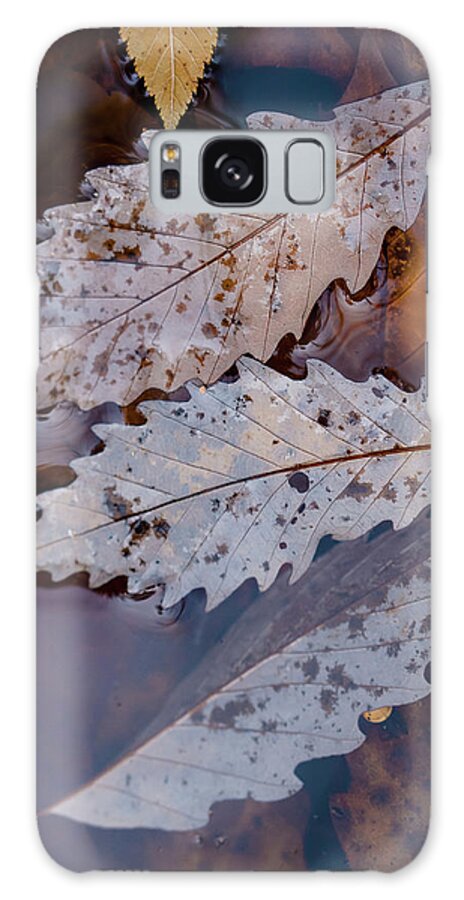 Forest Galaxy Case featuring the photograph Three Leaves in Fall by Iris Greenwell