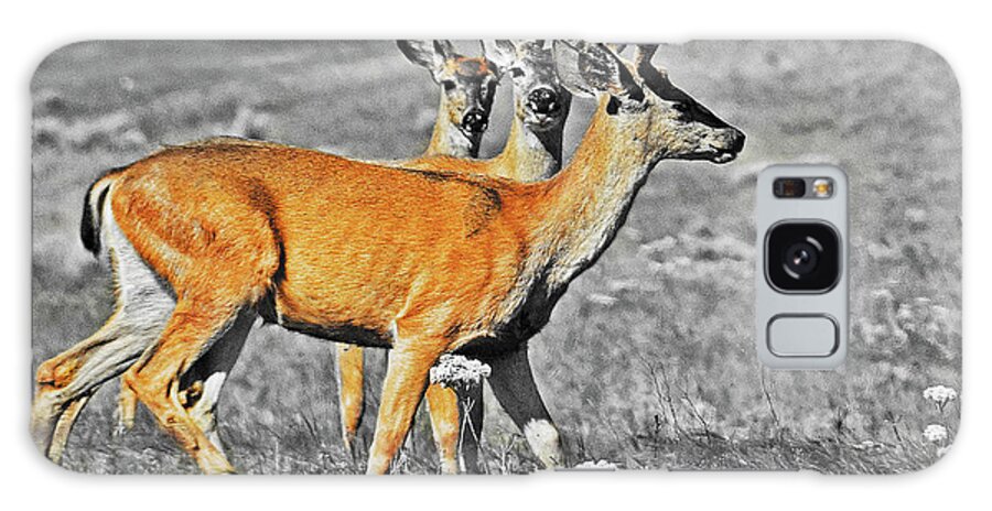 Bever Deer Ice Hous Galaxy Case featuring the digital art Three Young Bucks by Fred Loring