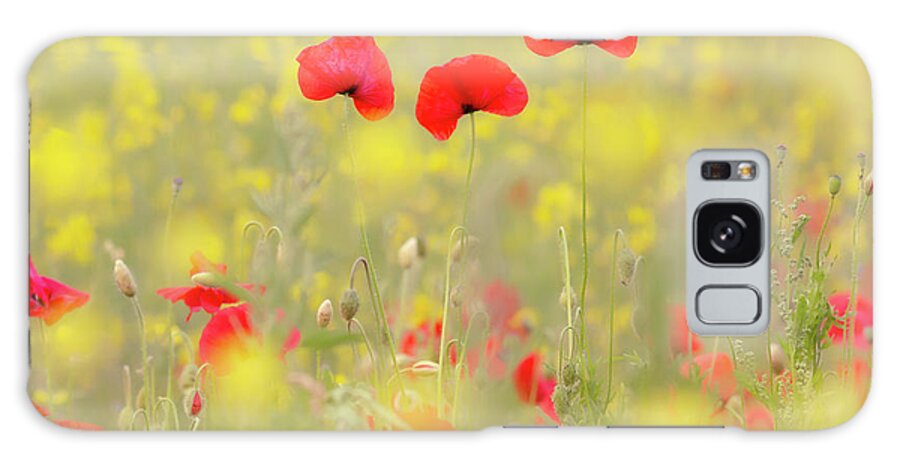 Poppy Galaxy Case featuring the photograph Threesome - Poppies in a rapeseed ield by Roeselien Raimond