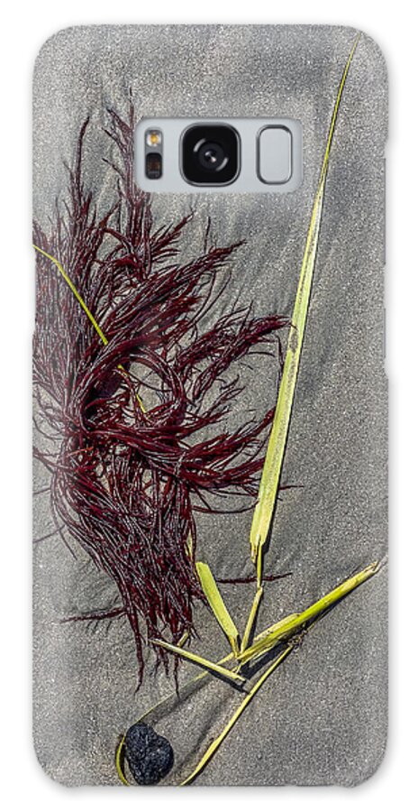 Seaweed Galaxy Case featuring the photograph Tidal Abstract by Cate Franklyn