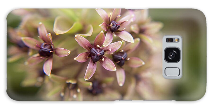 Spring Galaxy Case featuring the photograph Tiny Blooms by Stacy Abbott