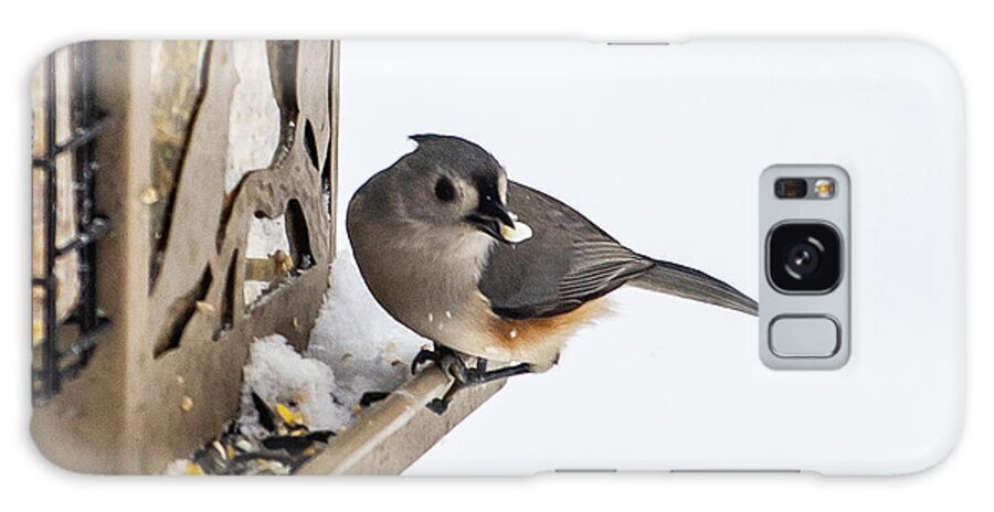 2019 Galaxy Case featuring the photograph Titmouse at feeder by Gerri Bigler