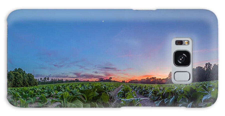 Sunset Galaxy Case featuring the photograph Tobacco Sunset by Melissa Southern