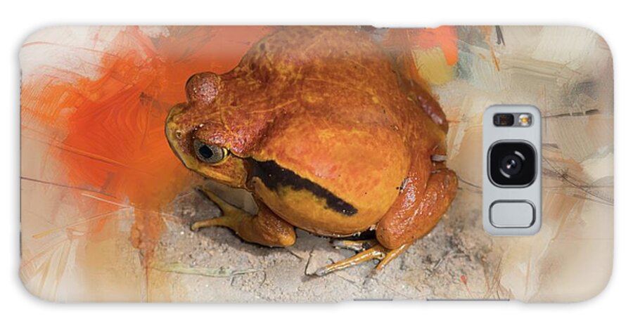 Tomato Frog Galaxy Case featuring the photograph Tomato Frog by Eva Lechner