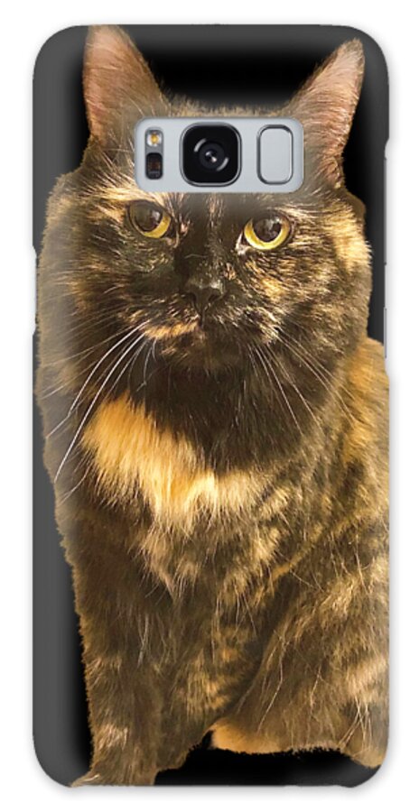 Cat Galaxy Case featuring the photograph Tortoise Long Hair Cat by Lisa Pearlman
