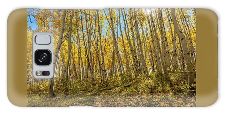Aspens Galaxy Case featuring the photograph Trail to Autumn Beauty by Ron Long Ltd Photography