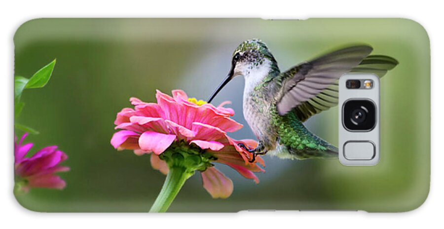 Hummingbird Galaxy Case featuring the photograph Tranquil Joy by Christina Rollo