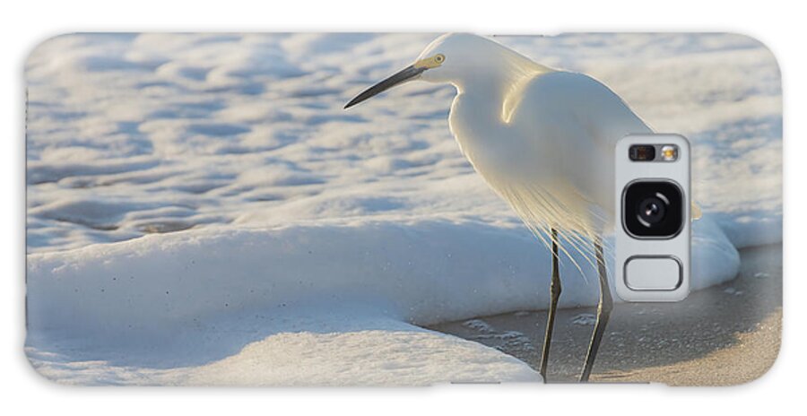 Snowy Egret Galaxy Case featuring the photograph Treasures of the Foam by RD Allen