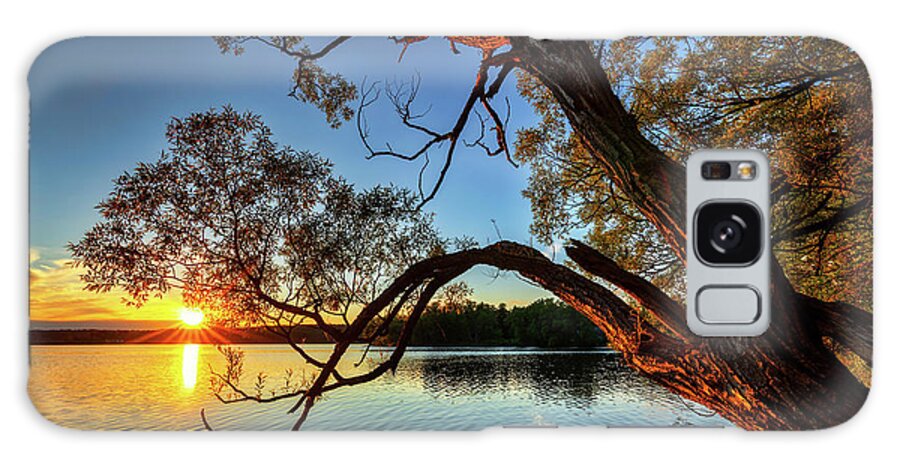 Maine Galaxy Case featuring the photograph Tree at Sunset a0110 by Greg Hartford