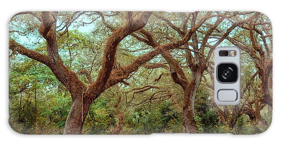 Tree Top Park Galaxy Case featuring the photograph Trees a Crowd by Phil Marty
