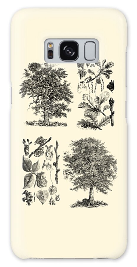 Tree Galaxy Case featuring the digital art Trees, Leaves And Seeds by Madame Memento