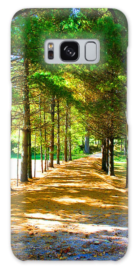 Landscape Galaxy Case featuring the photograph Trees Tunnel, Country Road by Patrick Malon