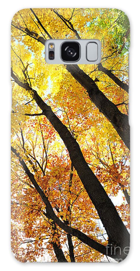 Yellow Galaxy Case featuring the photograph Reach for the Sky 2 by Terri Gostola