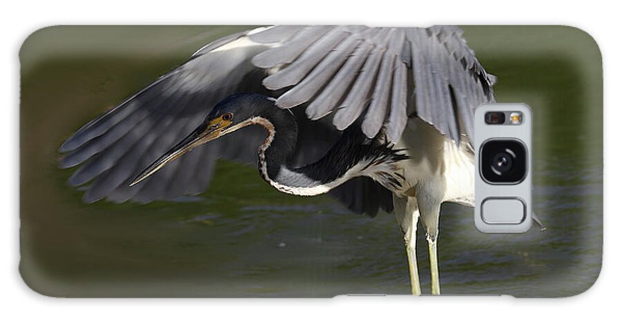 Tricolored Heron Galaxy S8 Case featuring the photograph Tricolored Heron in Flight by Mingming Jiang
