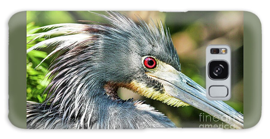 Heron Galaxy Case featuring the photograph Tricolored Heron Profile by Joanne Carey