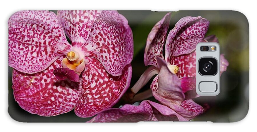 Orchid Galaxy S8 Case featuring the photograph Tricolored Orchids and Bokeh by Mingming Jiang