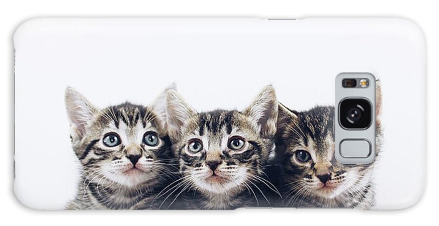 Sea Galaxy Case featuring the photograph Triplets by Michael Graham