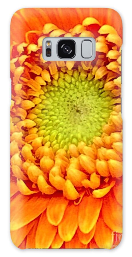 Daisy Galaxy Case featuring the photograph Tuesdays With Saint Anthony- The Gerbera Daisy by Tiesa Wesen