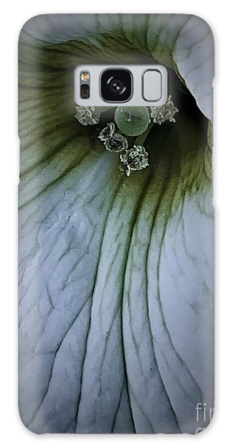 Christian Galaxy Case featuring the photograph Tuesdays With Saint Anthony - The Petunia, Taken On His Feast Day, June 13, 2021 by Tiesa Wesen