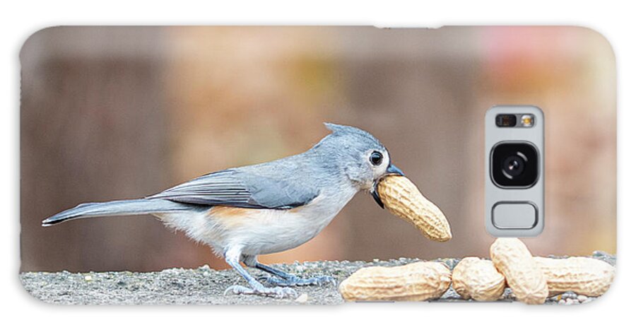 Little Gray Bird Galaxy Case featuring the photograph Tufted Titmouse with Peanut in Mouth by Ilene Hoffman