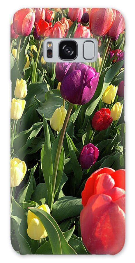 Tulips Galaxy Case featuring the photograph Tulip Time by Rod Seel