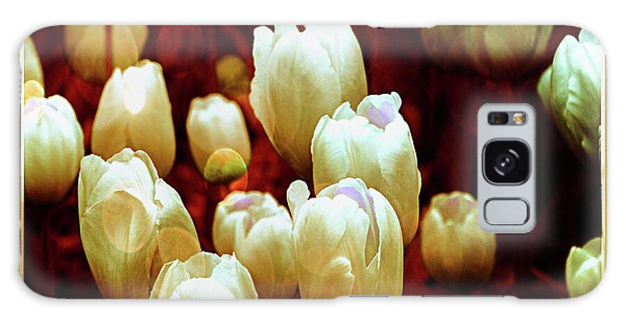 Tulips Galaxy Case featuring the photograph Tulips Garden Hibster by Michelle Liebenberg