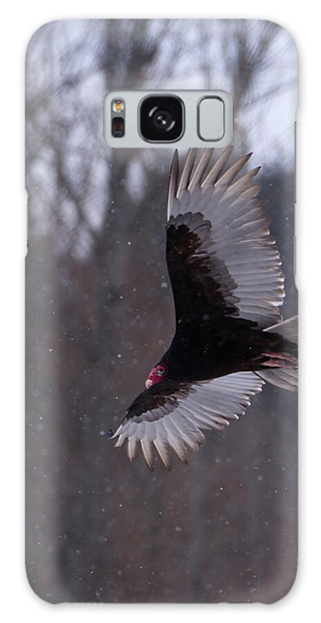 Turkey Galaxy Case featuring the photograph Turkey Vulture Flys in Snow by Flinn Hackett