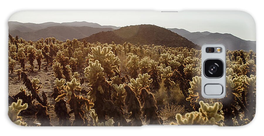 Photograph Galaxy Case featuring the photograph Twentynine Palms by Ted Kessler