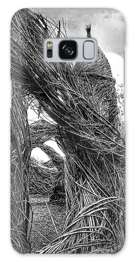 Sculpture Galaxy Case featuring the photograph Twig Fortress by Jim Signorelli