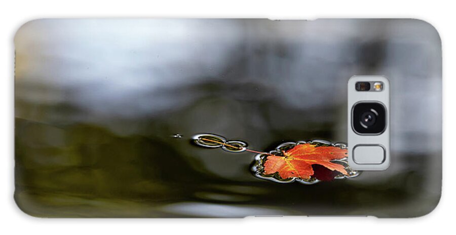 Autumn Galaxy Case featuring the photograph Twin Lakes Red by Kevin Suttlehan