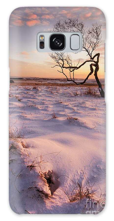 One Tree Galaxy Case featuring the photograph Twisted tree in the snow at sunset, Peak District National Park, Derbyshire, England by Neale And Judith Clark