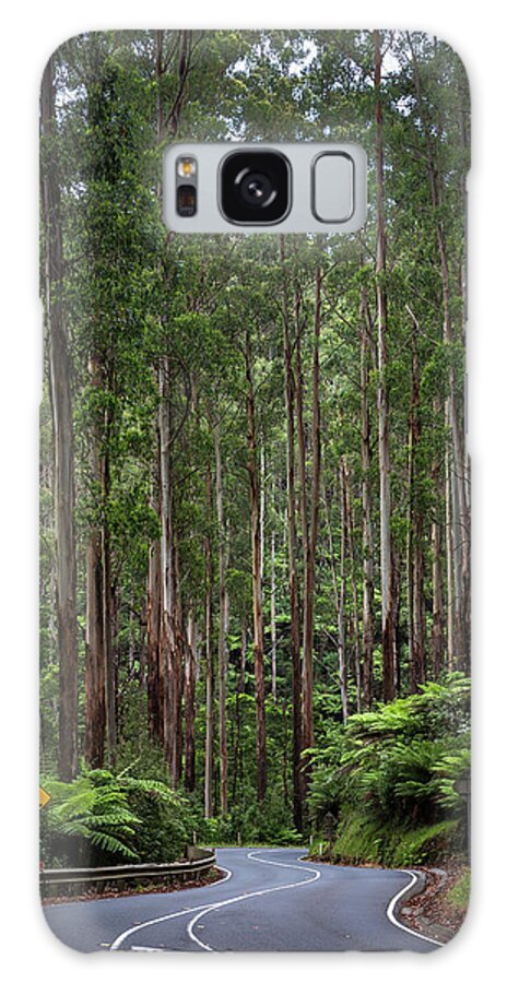 Twisty Roads Of Black Spur In Victoria Galaxy Case featuring the photograph Black Spur by Ari Rex