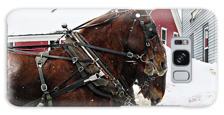Winter Galaxy Case featuring the photograph Two Horses Snow Falling by Russel Considine