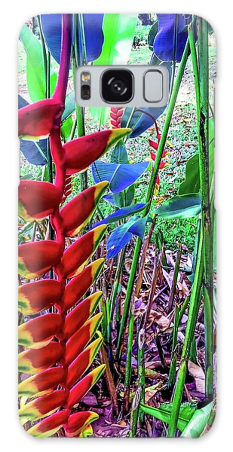 #flowersofoha #flowers #aloha #hawaii #puna #flowerpower #flowerpoweraloha #lobsterclaw #heliconia Galaxy Case featuring the photograph Two Lobster Claw Heliconia Aloha by Joalene Young