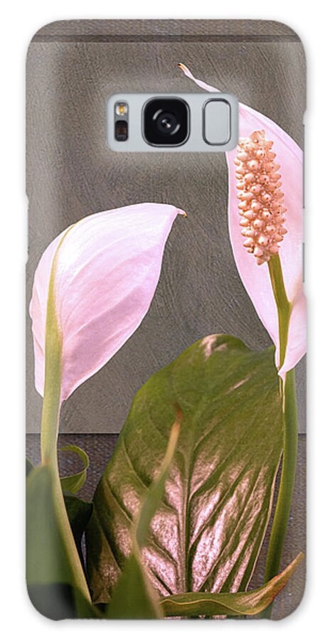 Lilies Galaxy Case featuring the photograph Two Peace Lily Flower Blooms by Tom Mc Nemar