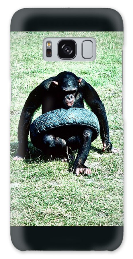 Chimpanzee Galaxy Case featuring the photograph Tyred Chimp by Gordon James