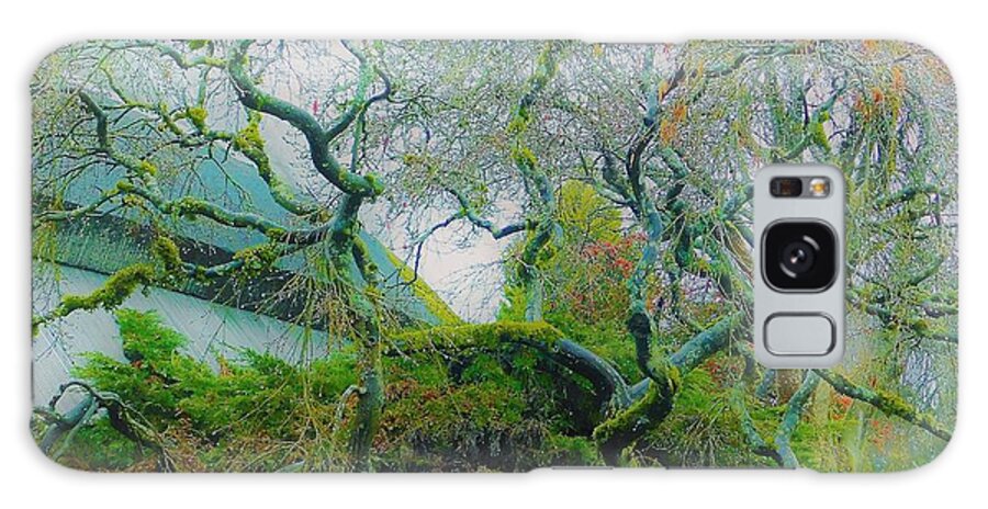 - Vancouver Bc Tree 3 Galaxy Case featuring the photograph - Vancouver BC Tree 3 by THERESA Nye