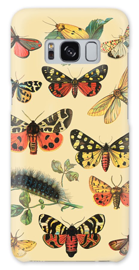 Butterfly Galaxy Case featuring the digital art Vintage Butterfly Chart by Madame Memento