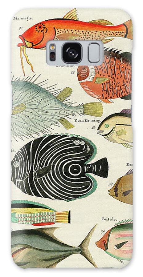Fish Galaxy Case featuring the digital art Vintage, Whimsical Fish and Marine Life Illustration by Louis Renard - Baard Mannetje, Formosa by Louis Renard