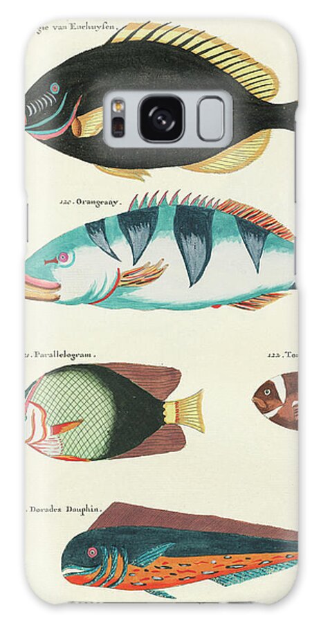 Fish Galaxy Case featuring the digital art Vintage, Whimsical Fish and Marine Life Illustration by Louis Renard - Tontelton, Dorado Fish by Louis Renard