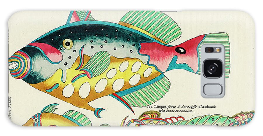Fish Galaxy Case featuring the digital art Vintage, Whimsical Fish and Marine Life Illustration by Louis Renard - Crayfish from Amboine, Poupou by Studio Grafiikka